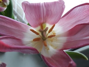 20190206_135031