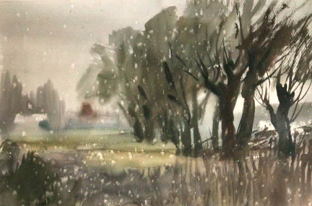 Початок зими. Верби