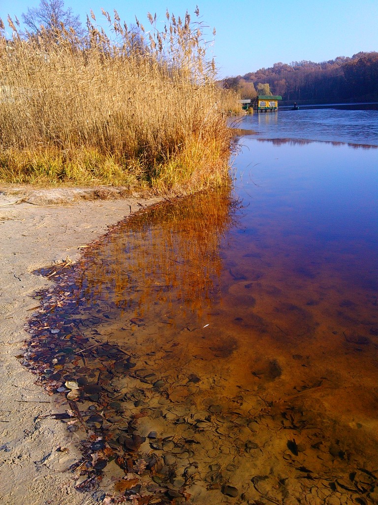 Барви осені