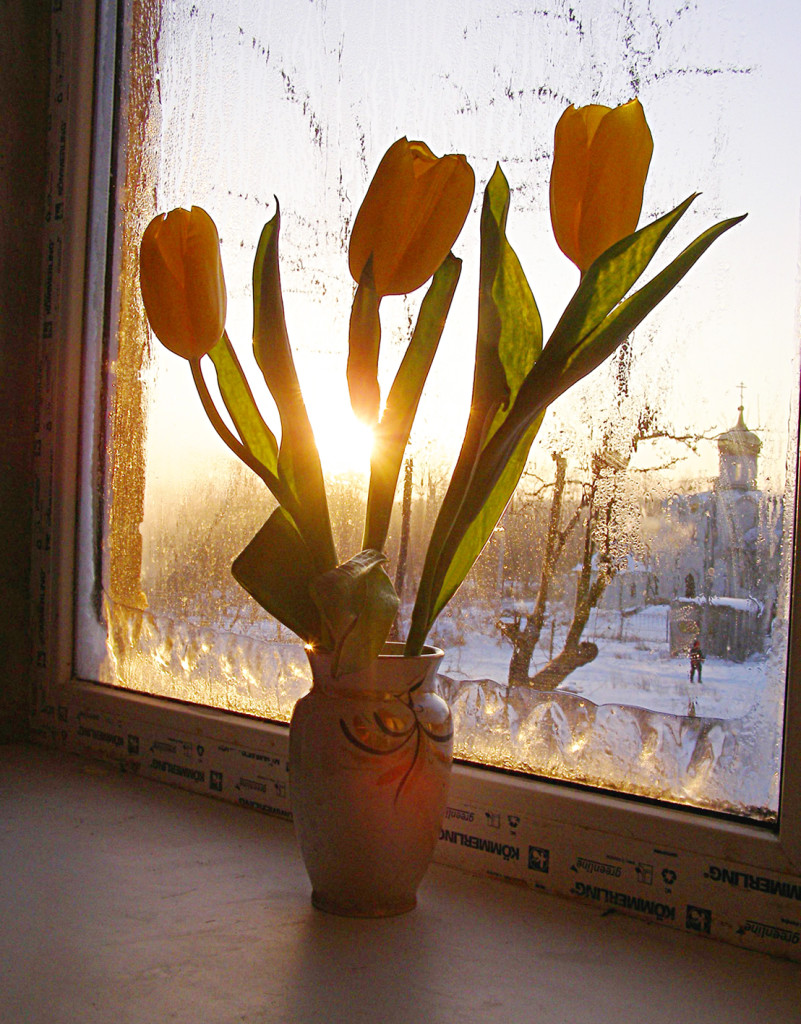 Зимовий подарунок