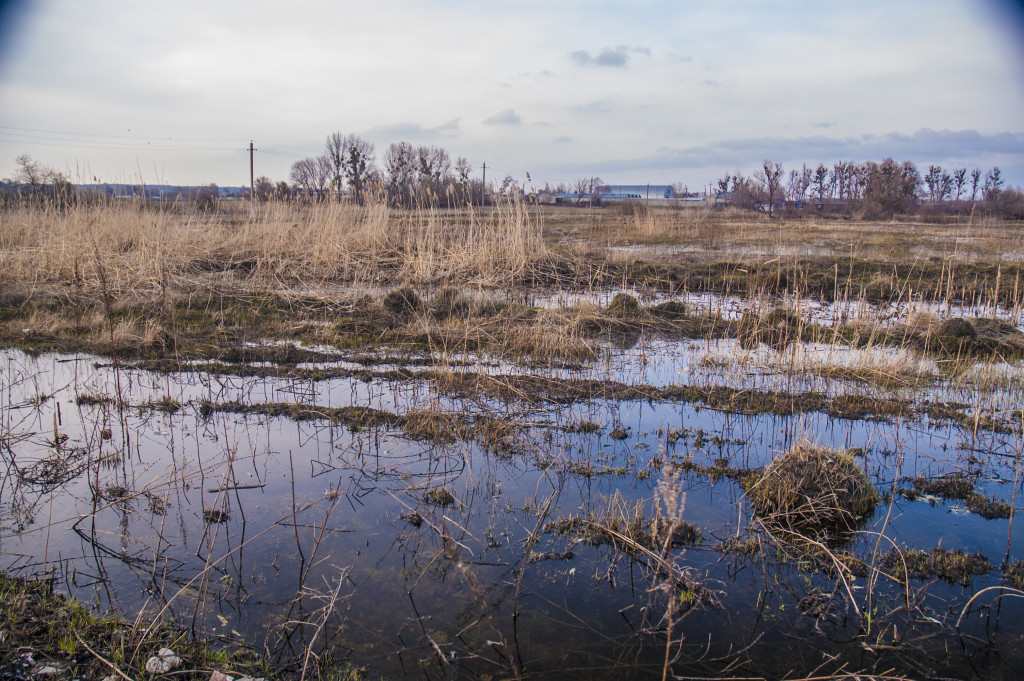 Весняна повідь